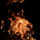 Fire and Shame