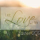 Let Love In