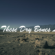 Can These Dry Bones Live?