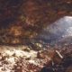 Cave Dwellers