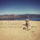 Milestones