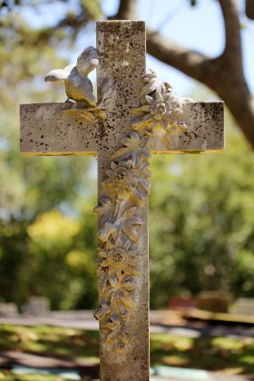 sandy-millar-1wWPziI0bOw-unsplash sandy-millar-1wWPziI0bOw-unsplash
