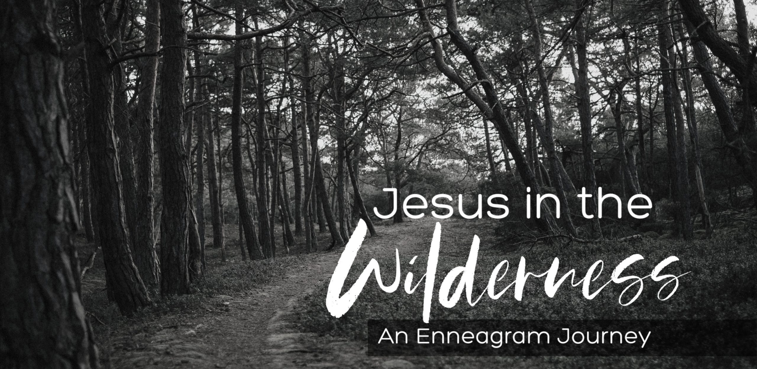 Jesus in the Wilderness