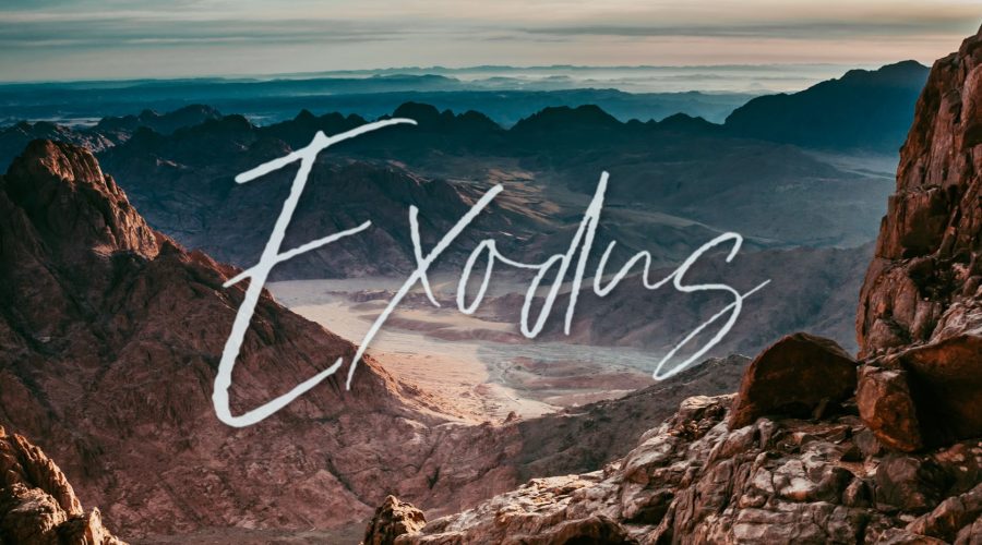 Exodus: Resistance