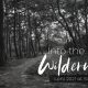 Into The Wilderness: New Beginnings