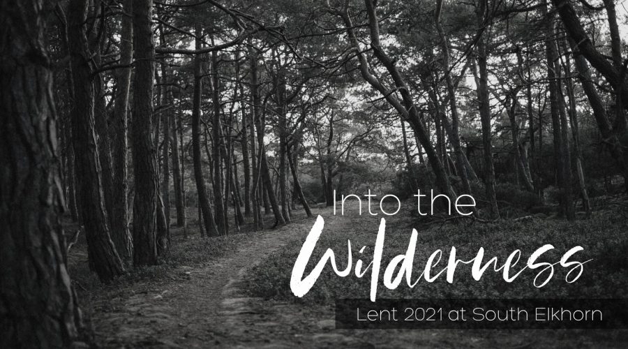 Into The Wilderness: Vulnerability