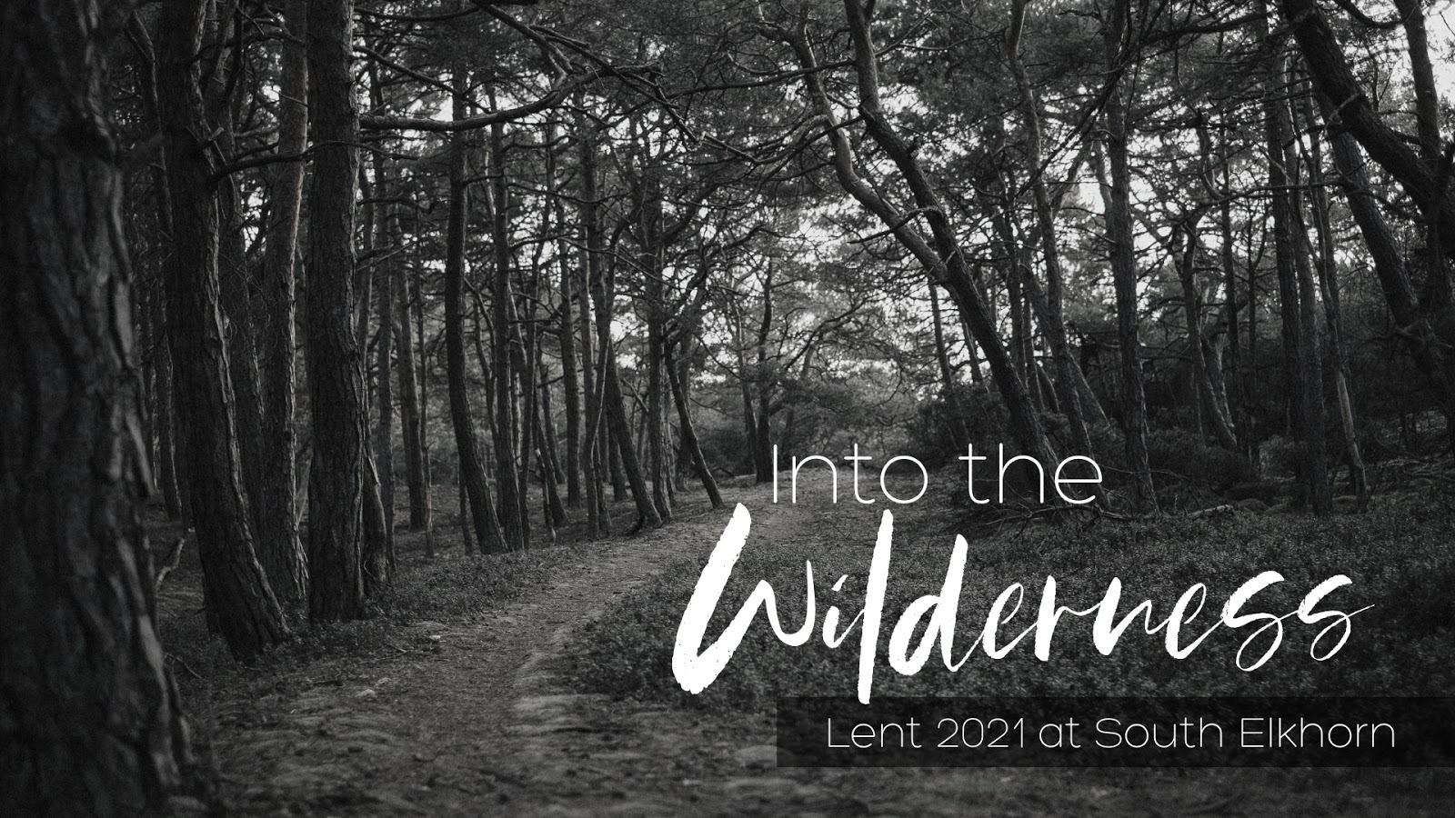 Christ does not keep us from struggle, difficulty, or hardship. Instead, Christ walks us through the wilderness of struggle to show us its hidden gifts.