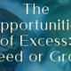 The Opportunities of Excess: Greed or Grace