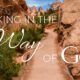 Walking in the Way of God
