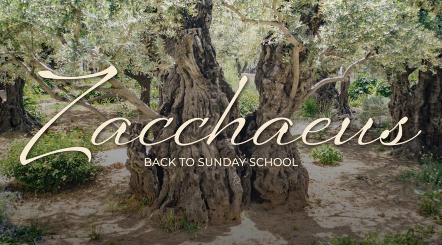 Back to Sunday School: Zacchaeus