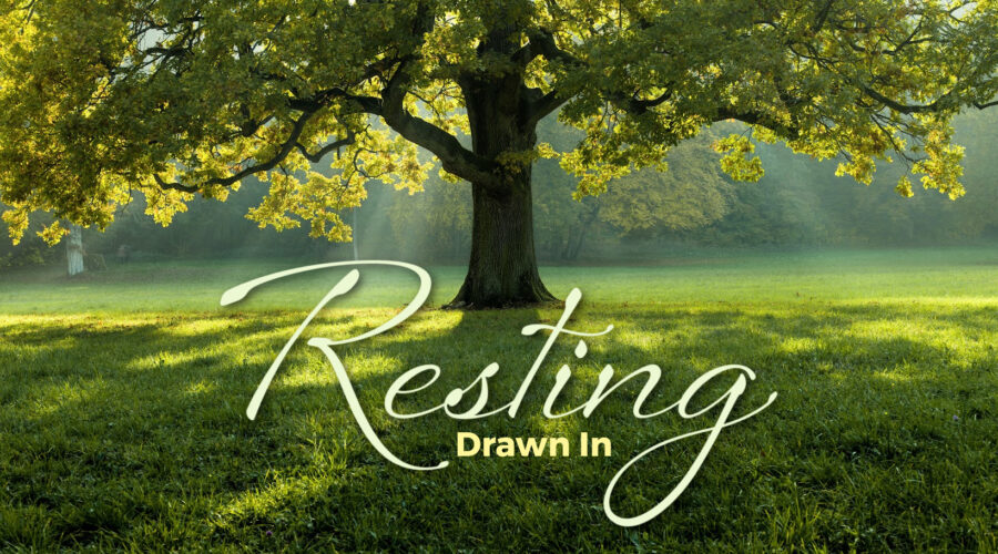 Drawn In: Resting