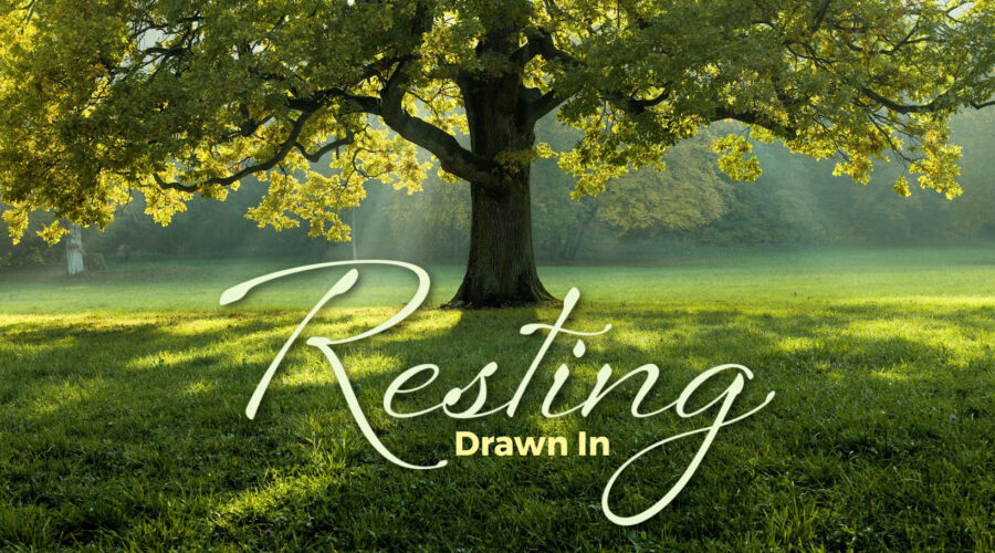 Drawn In: Resting