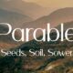 Parable: Seeds, Soil, Sower