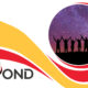 Beyond: From Wisdom to Foolishness