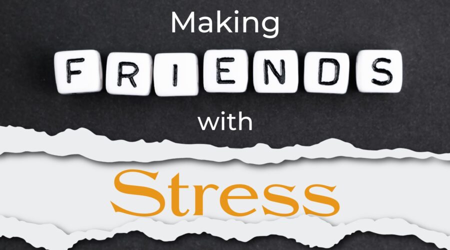 Making Friends With Stress
