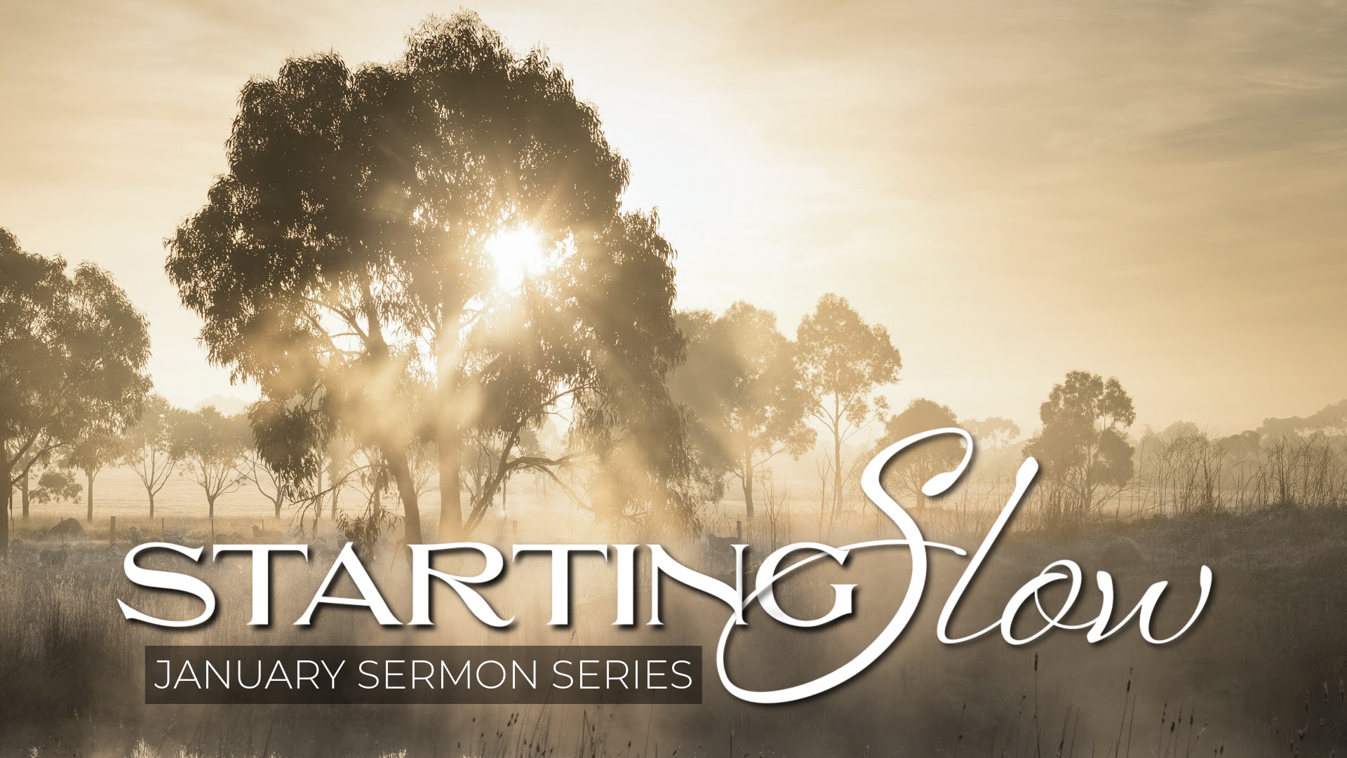 A sermon on 1 Kings 19:9-13