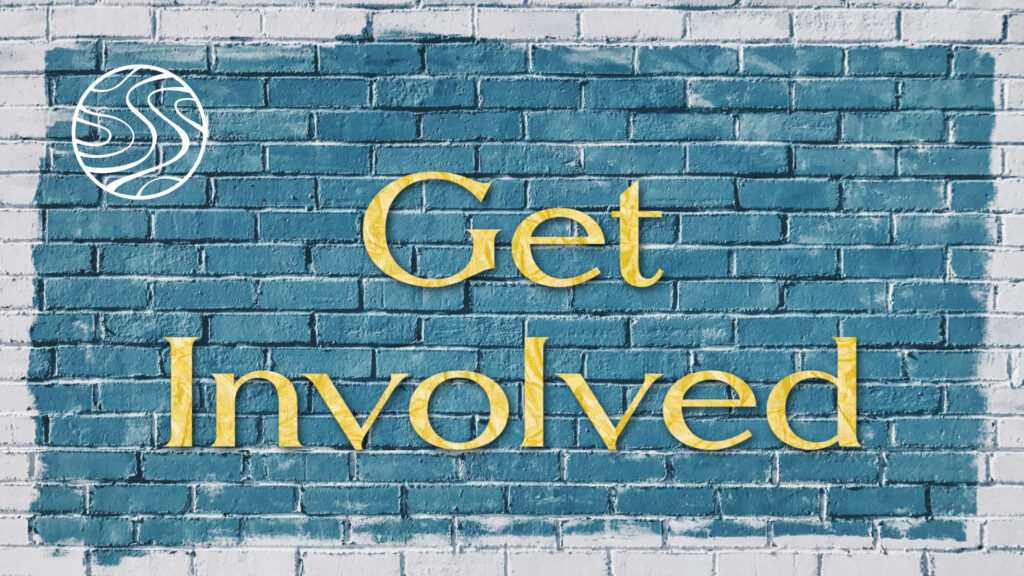 Learn more and connect